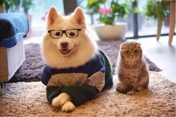 1652668172259743.png image.png